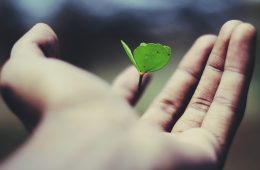 Responsabilità sociale d'impresa